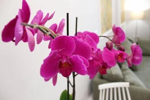 Apartamento Cosy Paradise