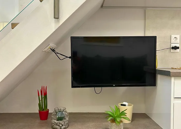 Appartement Cosy Paradise